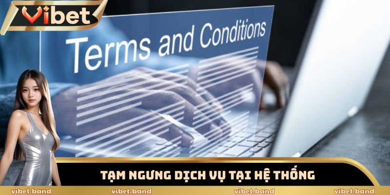 Điều Khoản Điều Kiện - Những Quy Định Quan Trọng Tại Vibet 3 Quy định tạm ngưng dịch vụ với các thành viên vi phạm