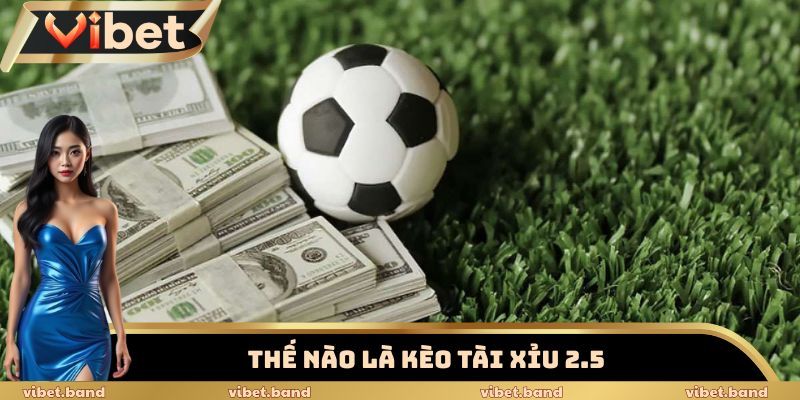 Tài Xỉu 2.5 - Hiểu Đúng Để Cược Đúng Cùng Nhà Cái Vibet 2 Giải đáp Tài Xỉu 2.5 là gì?