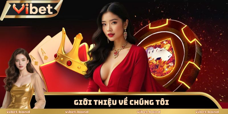 Thực Hư Về Chúng Tôi – Vì Sao Vibet Dẫn Đầu Thị Trường Việt? 1 Giới thiệu về chúng tôi