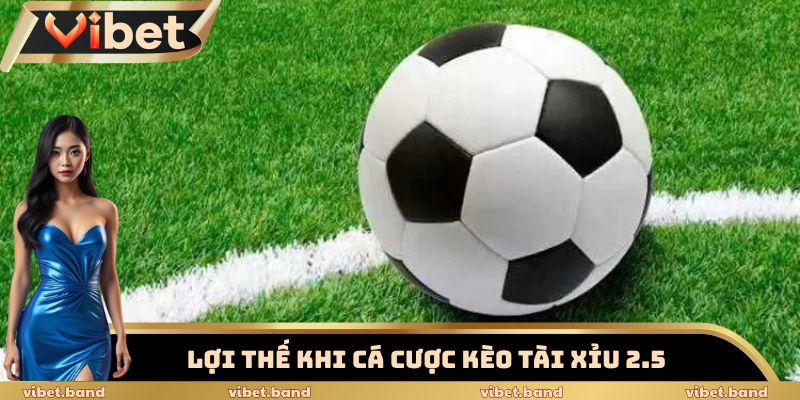 Tài Xỉu 2.5 - Hiểu Đúng Để Cược Đúng Cùng Nhà Cái Vibet 3 Lợi thế đặt cược tại Vibet