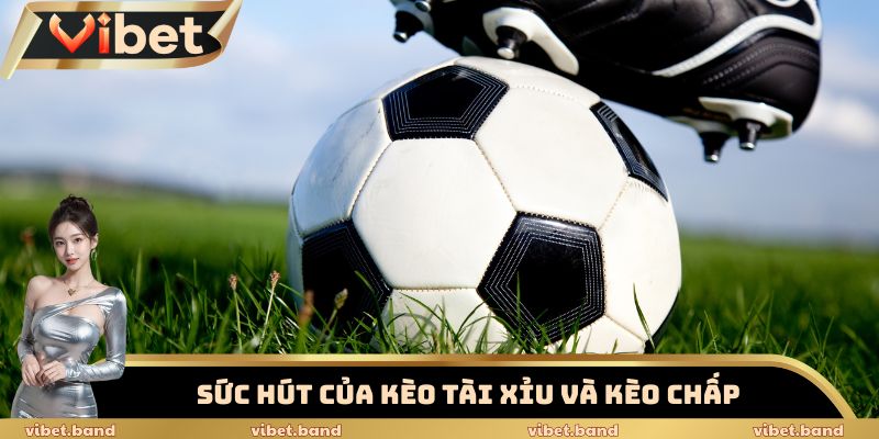 Kèo Tài Xỉu - Kinh Nghiệm Chốt Kèo Bỏng Tay Từ Dân Chuyên 2 Sức hút của kèo tài xỉu và kèo chấp