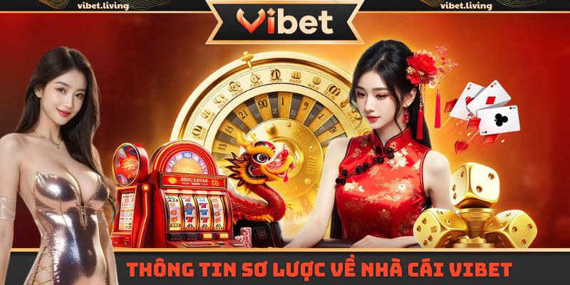 Thông tin sơ lược về nhà cái Vibet