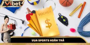 Vua Sports Hoàn Trả 1.6% Mỗi Ngày – Cược Thủ Săn Thưởng Lớn 1 Vua Sports hoàn trả